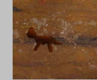 Creation of Cave Paintings: Step 6